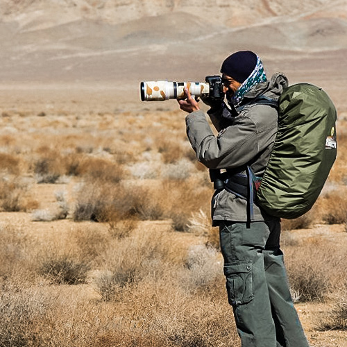 Alireza Damadzadeh the Isfahan Tourguide / Eco-tourguide during wildlife Photography